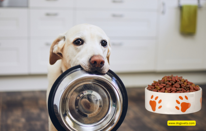 Dog Food Calories Calculator